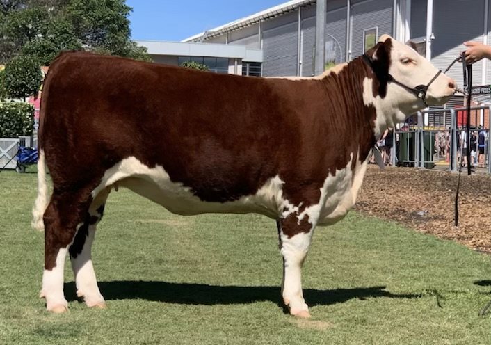 Llandillo Q088