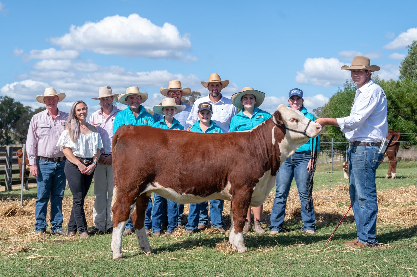 Llandillo Blush U043 equal top price $9,000 About Dam Time Sale with 5 Bears Beef family, B&L agents and Llandillo team